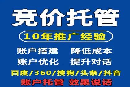 竞价广告投放技巧与案例分析